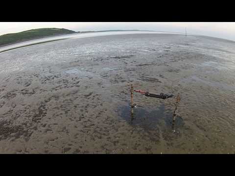 Nortek Vector deployed on an inter-tidal sandbank