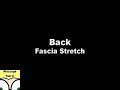 Fascia Stretch Back 1 Fascia Stretch Back 1