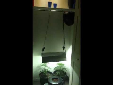 how to use sensi grow part a and b