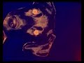 Sweet Pea - \ Sweet Pea - \
