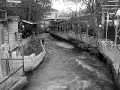 موال دمشقي.wmv