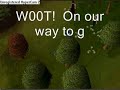 Garion331 gets 99 Flax Picking!
