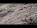 Microcosm Edit
