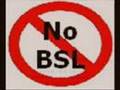 BSL could be coming to your town