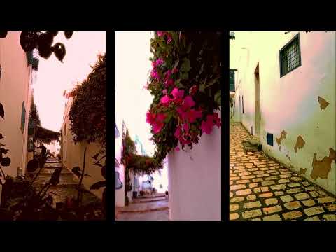 'Ruelles � Sidi Bou Sa�d' avec Nicole Coppey
