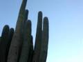 Los Ruinas de Los Quilmes con Liliana