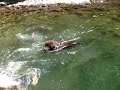 The Creek
