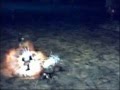 lineage 2 ravange
