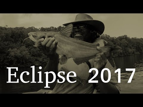 How to fish a solar eclipse How to fish a solar eclipse