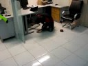 jogando aero hockey no trabalho 01/02