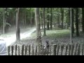 Rally Stage - Goodwood FOS 2010