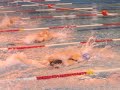 Natation 50 m Natation 50 m