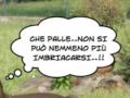 Le Avventure di Bao..il cane Briao..!!