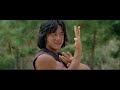 kung fu   jackie chan  drunkard style 