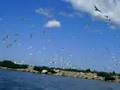 St Mary's River Sault Ste Marie