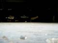 videos de mustang lx idle and rev gt40