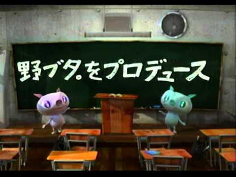 動画