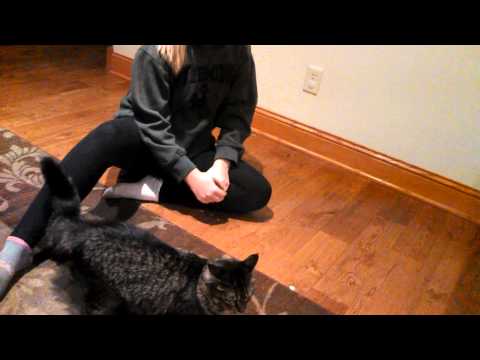 how to administer a suppository