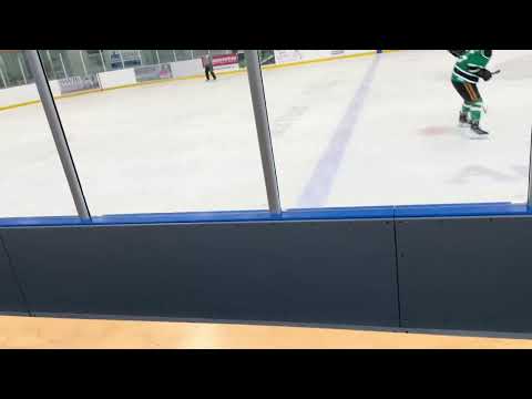 Tyson Ponton | 2009 Hockey Goalie| ON Toronto Junior Showcase 2025 :coach Jerome Dupont