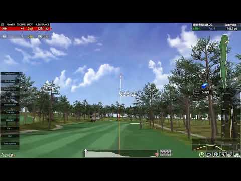 Hanaro Screen Golf Simulator   -  Strock Play(ENG).59.