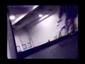 Indoor alleycat