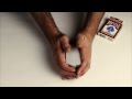 'Cards in Motion' - stop motion