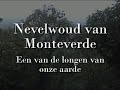 Monteverde