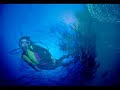 Tahiti Vacation Info on Travel Tips Radio