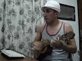 Xande do Cavaco - Carreta