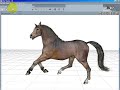 3d horse figure in Daz|Studio