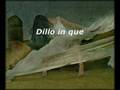 Dillo...