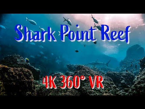 4k 360 VR - Stunningly Beautiful Reef & Sea Life: Diving Phuket - YouTube