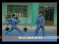 Đòn Chân Tấn Công số 16 - Vovinam Technical Program