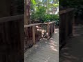 柿田川の公園のそこらへん　#せんずりーな　#ぱいずりーな