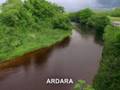 The Fields of Athenry [Phil Mack]