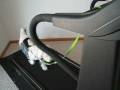 videos de Cricket_on_Treadmill