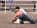 cheyenne-rodeo-animal-injuries-the-truth-is-exposed.html