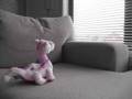Pink in a Grey World