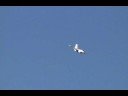 F-16 Falcon US Thunderbirds RC RTF Ducted Fan Jet!