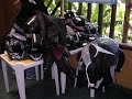 Motociclistas Cariocas