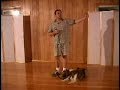 Dog Training - Stop Your Dog From Pulling