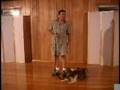 Dog Training - Stop Your Dog From Pulling