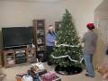 The Schneider's Christmas Tree 2008