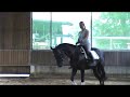Elysee beim reiten