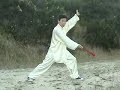 Tai Chi Taiji Kung Fu Fan