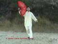 Tai Chi Taiji Kung Fu Fan