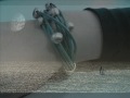 Lions in Love - Pulseras