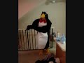 Crank Dat Penguin