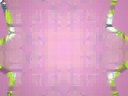 My Montage 11/23/08
