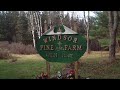Rascal decides on name for farm